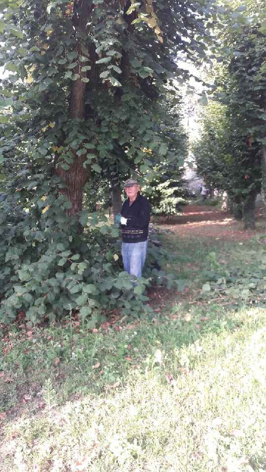 Resized_20180831_0914481