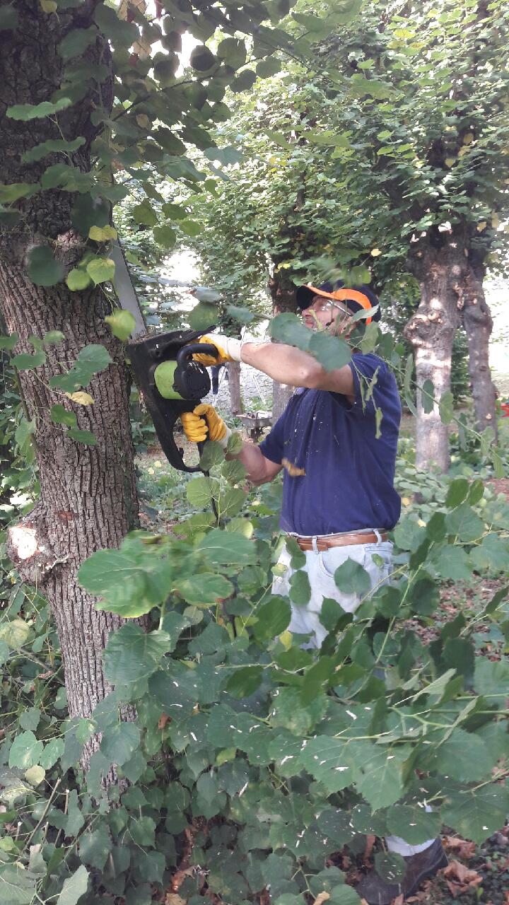 Resized_20180831_0916111