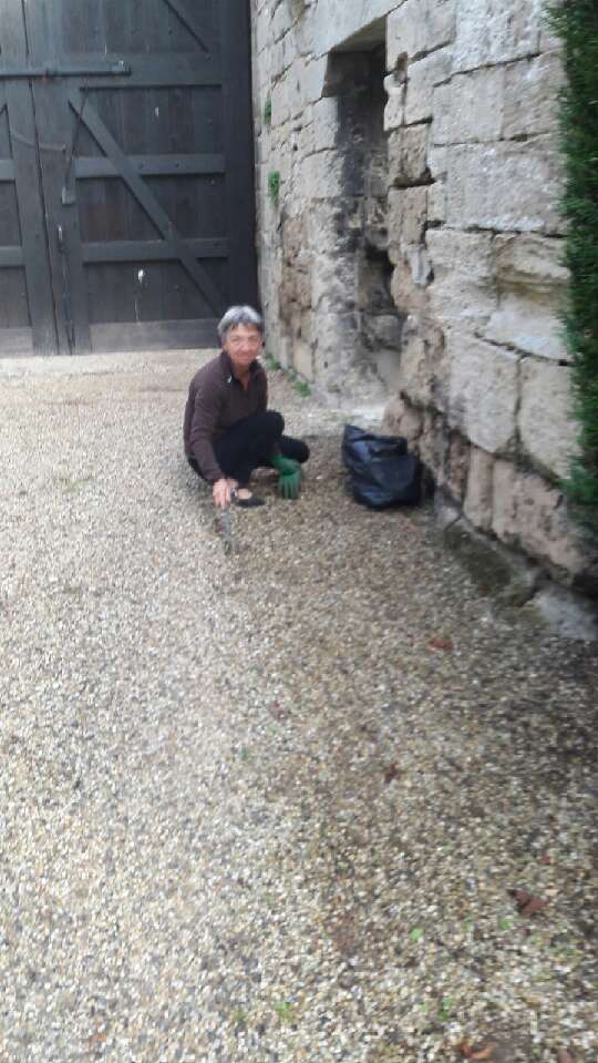 Resized_20180831_0921341